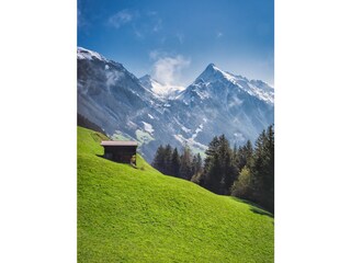 Apartment Mayrhofen Environment 16