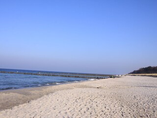 Appartement de vacances Zingst Environnement 23