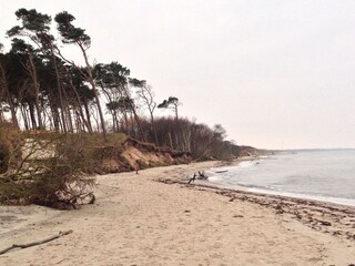 Vakantieappartement Zingst Omgeving 25