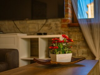 Villa Svetvinčenat Características 9