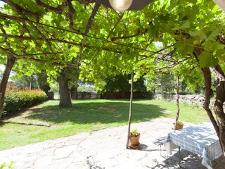 Villa Kanfanar Registrazione all'aperto 6