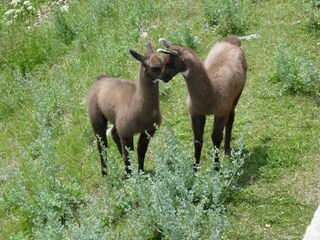 Appartamento per vacanze Schnals Ambiente 16