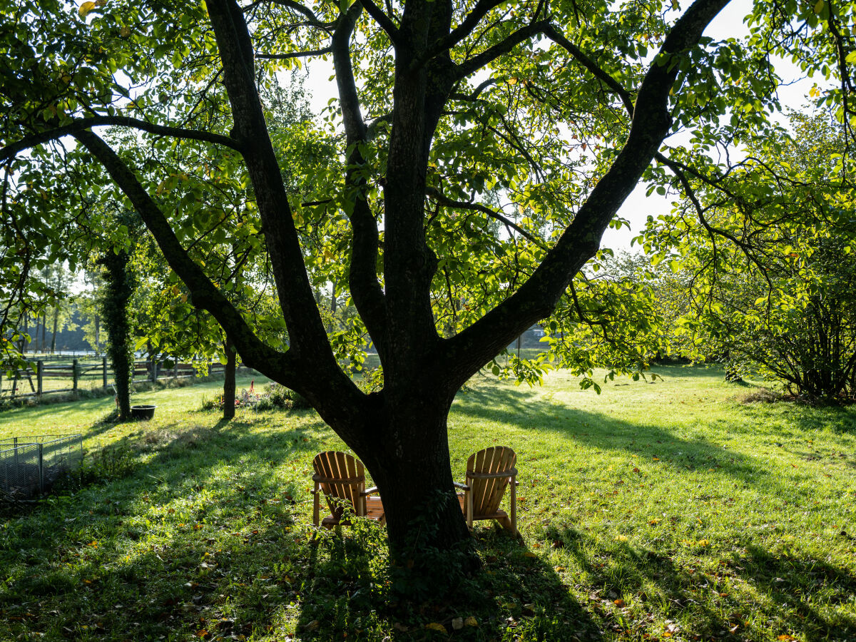 Hofgarten