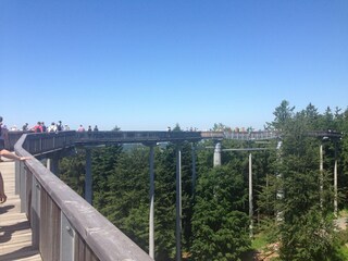 Holiday house Rinchnach Environment 21