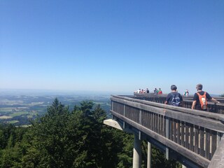 Casa de vacaciones Rinchnach Entorno 20