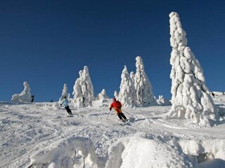 Vakantiehuis Rinchnach Omgeving 27
