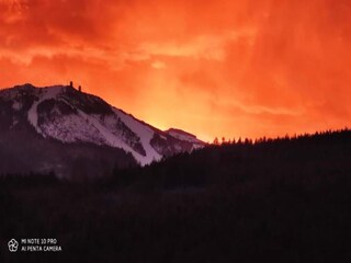 Ferienhaus Rinchnach Umgebung 28