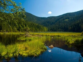 Casa per le vacanze Rinchnach Ambiente 22