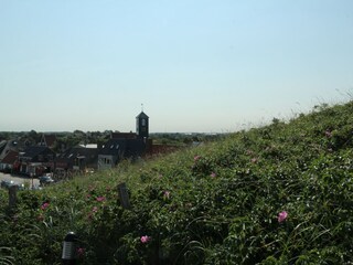 Vakantiehuis Callantsoog Omgeving 20