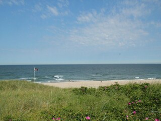 Vakantiehuis Callantsoog Omgeving 21