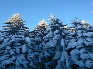 Chalet Liézey Außenaufnahme 12