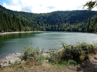 Chalet Liézey Environment 31