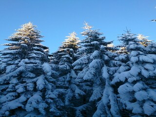 Chalet Liézey Buitenaudio-opname 14