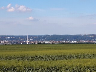 Blick über Dresden