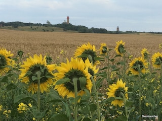 Auf dem Weg zum Nordstrand mit Blick zum Leuchtturm