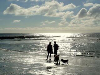 Mit Hund an den Strand