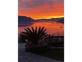 Finca Maccagno Buitenaudio-opname 14