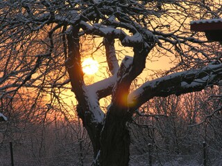 Sonnenaufgang vom Grundstück aus