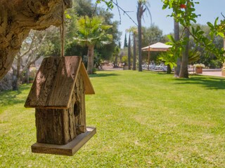 Villa Muro Grabación al aire libre 19
