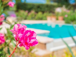 Villa Costitx Buitenaudio-opname 30