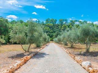 Villa Costitx Buitenaudio-opname 36
