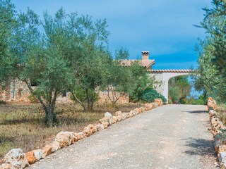 Villa Costitx Buitenaudio-opname 37