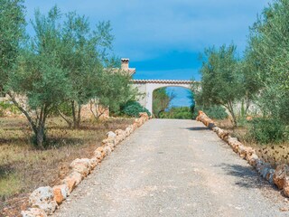 Villa Costitx Buitenaudio-opname 18