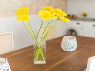 Villa Selva Características 27