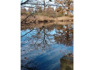 Stockenweilerweiher im Herbst