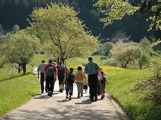 Wandern im Frühling