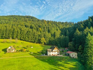 Holiday apartment Oppenau Outdoor Recording 1