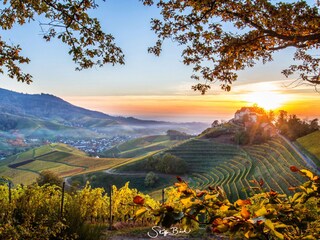 Holiday apartment Oppenau Environment 22