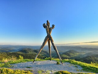 Holiday apartment Oppenau Environment 24