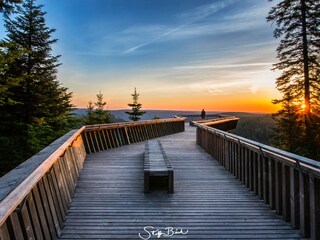 Holiday apartment Oppenau Environment 25