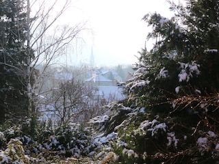 Blick auf die Stadt im Winter