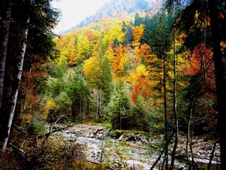 Appartamento per vacanze Oberstdorf Ambiente 19