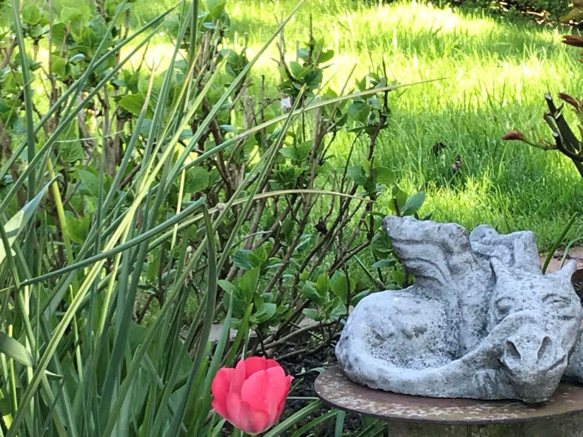 Lazing on a sunny afternoon