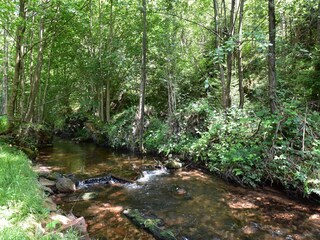 Chalet Abreschviller Omgeving 26