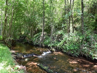 Chalet Abreschviller Umgebung 26