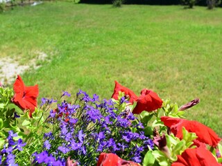 Chalet Abreschviller  39