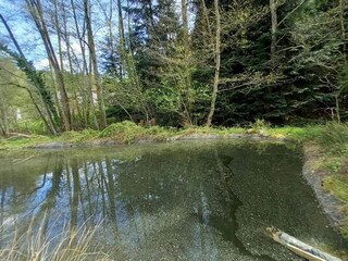 Chalet Abreschviller Umgebung 31