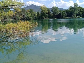 Chalet Abreschviller Umgebung 29