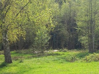 Chalet Abreschviller Umgebung 33