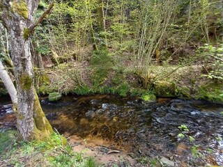 Chalet Abreschviller Umgebung 36