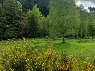 Chalet Abreschviller Umgebung 27