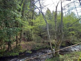 Chalet Abreschviller Entorno 36