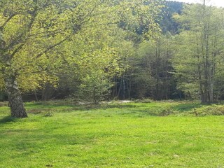 Chalet Abreschviller Ambiente 33