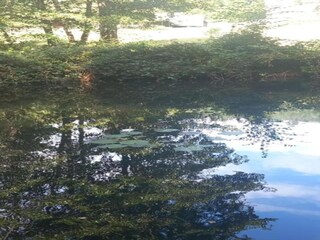 Chalet Abreschviller Umgebung 34