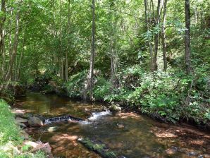 Gemütliches Chalet mit Fluss - Abreschviller - image1