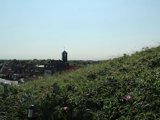 Ferienhaus Callantsoog Umgebung 19